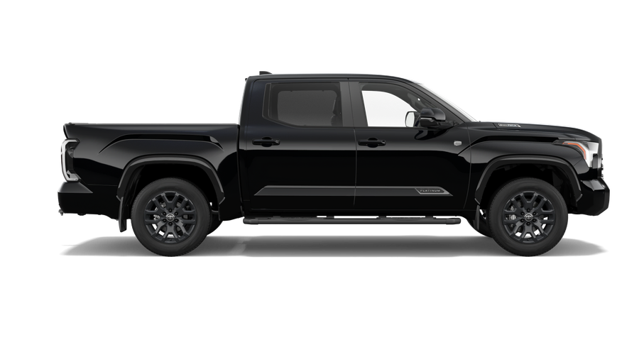 Platinum in Eclipse Black